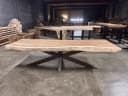 Boomstamtafel suarhout | spinpoot - Sventerior
