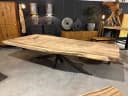 Boomstamtafel suarhout | spinpoot - Sventerior
