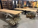 Boomstamtafel suarhout | spinpoot - Sventerior