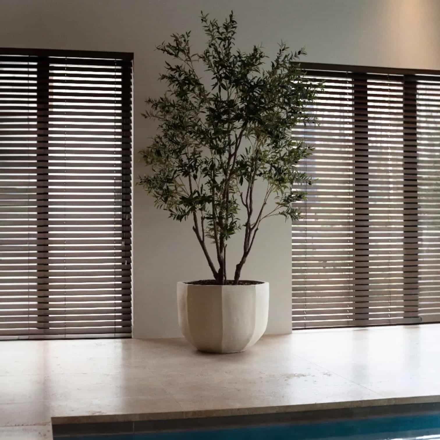 Luxe Zijden Olijfboom 260cm | Inclusief Pot