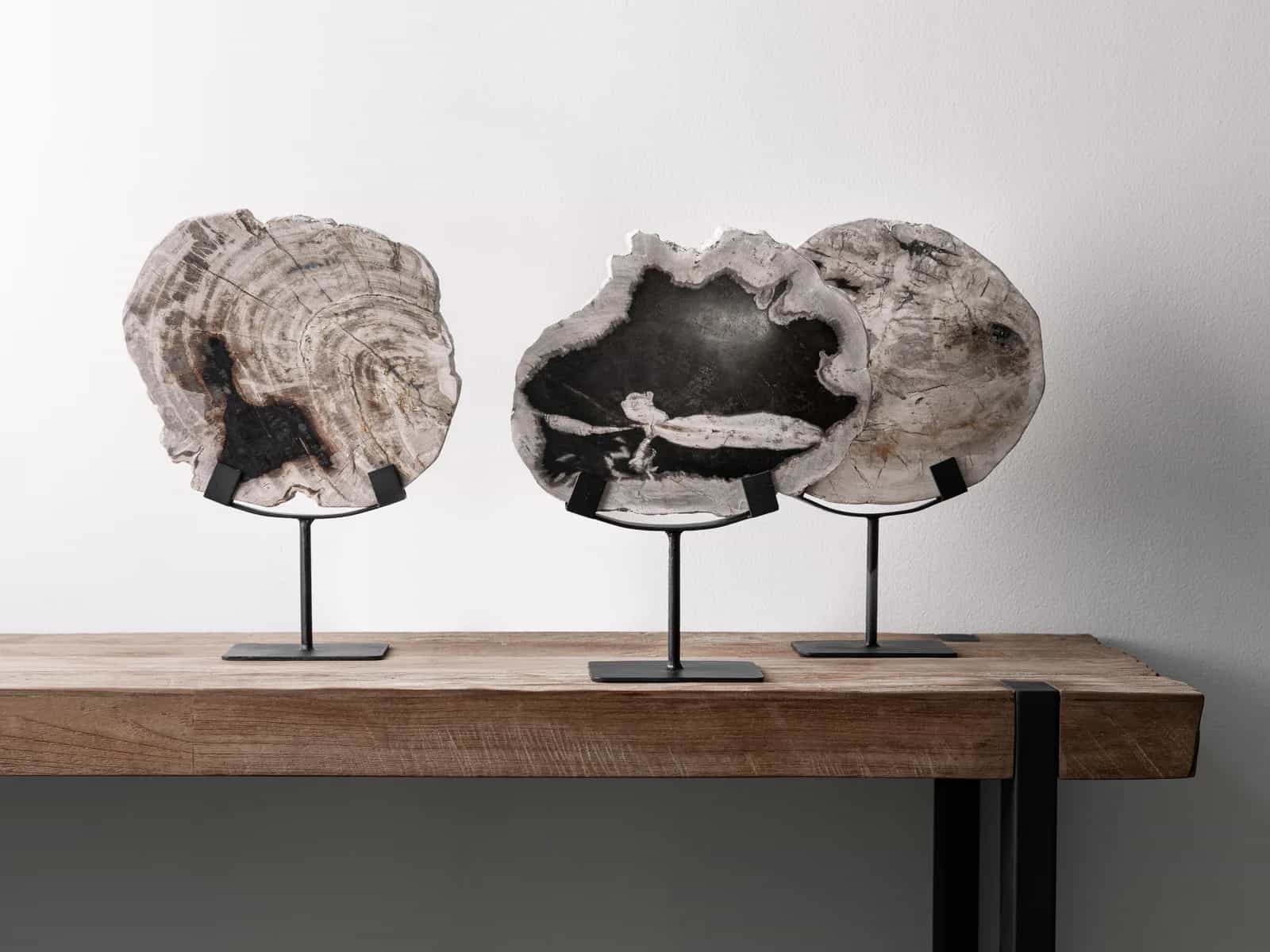 Schilderij Statue Fossil - MUST Living