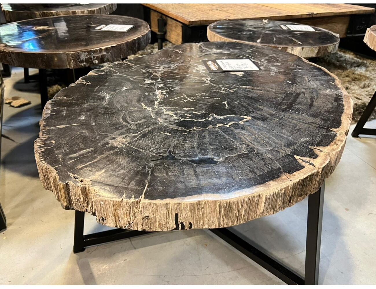 Onderhoudbaar Plicht Sport Salontafel versteend hout unieke tafel fossiel