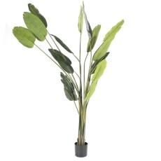 Kunstplant Strelitzia large Mokana Meubelen