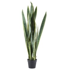 Sansevieria By-Boo Groen Kunstplant Mokana