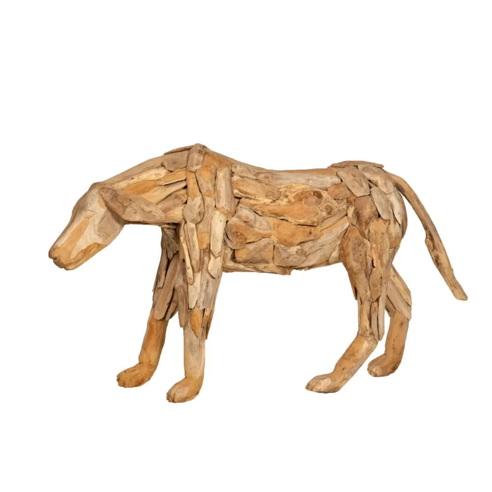 Hond teakhout groot