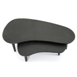 Sidetable Guus (set of 2)