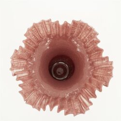 Bae – burgundy
