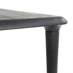 Eettafel Jiska 300×100 – zwart