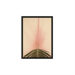 Palma 50×70