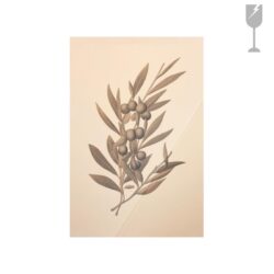Oliva 40×60