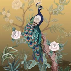 Peacock Large