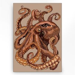 Pulpo Small