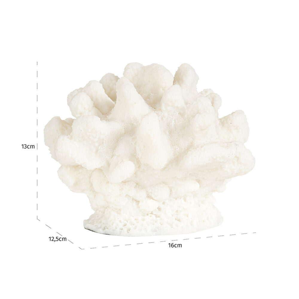 Faux koraal Mare (White)