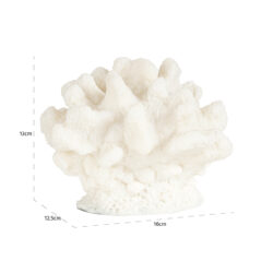 Faux koraal Mare (White)