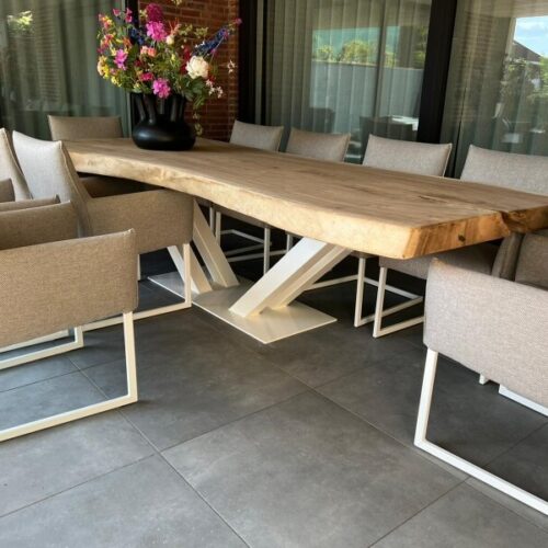 Sfeerfoto in tuin Borne suarhout boomstamtafel massief
