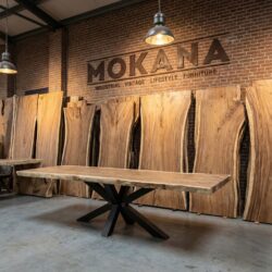 Boomstamtafel suarhout | spinpoot