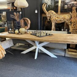 Boomstamtafel suarhout spinpoot