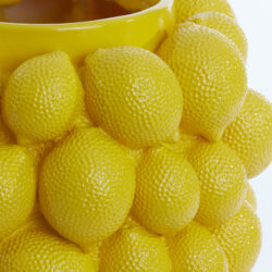 Vaas Lemon geel 31x41 cm