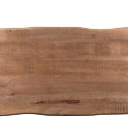 Sturdy Tree Top U 220 cm