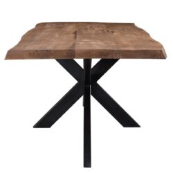 Sturdy Tree Top Spider 220 cm