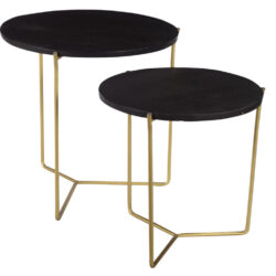 Mason Black/Brass Set of 2