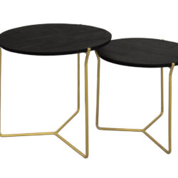 Mason Black/Brass Set of 2