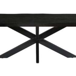 Norris Tree Top Spider 220cm