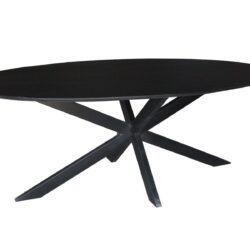 Oslo Black Oval 240 cm