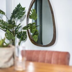 Plecto – brown