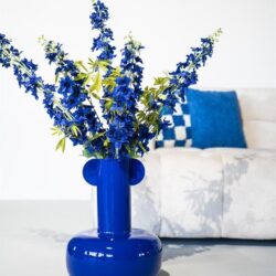 Bamba – blue