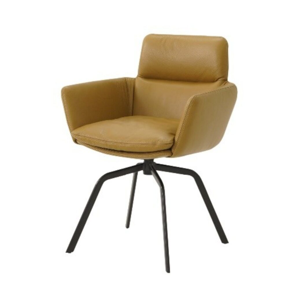 Eetkamerstoel Alfa leer modern