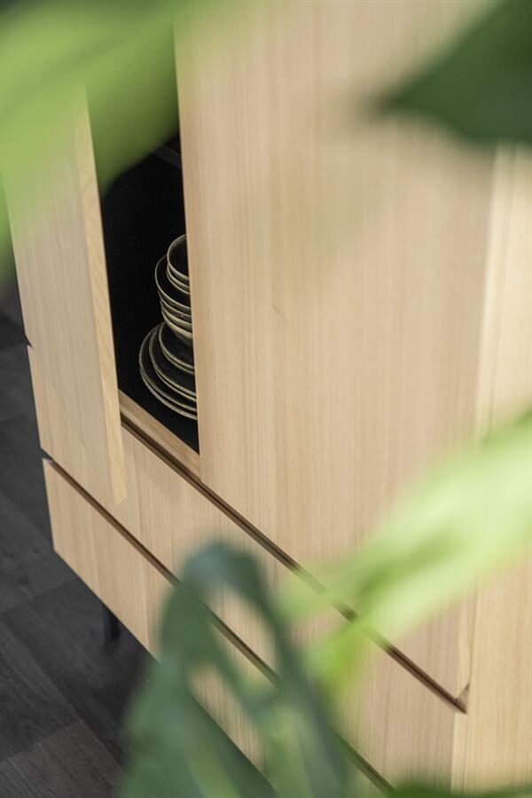Kabinet Thomas 95×170 cm