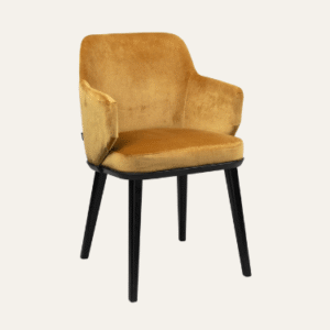 Velvet eetkamerstoelen