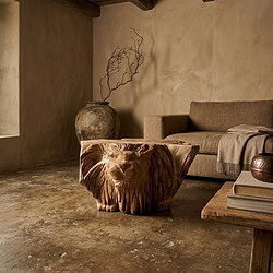 Unieke salontafel Lion van teakhout met leeuwenkop design, perfect voor een stijlvolle woonkamer. Handgemaakt en duurzaam, voegt karakter toe aan elk interieur.