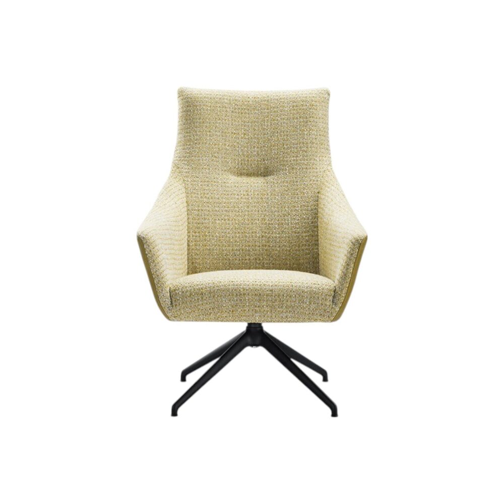 Fauteuil Nice met armleuning hoge rugleuning spinpoot class design