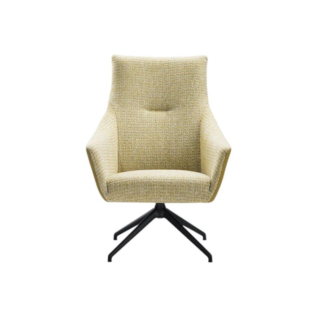 Fauteuil Nice met armleuning hoge rugleuning spinpoot class design
