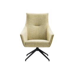 Fauteuil Nice met armleuning hoge rugleuning spinpoot class design
