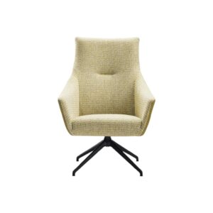 Fauteuil Nice met armleuning hoge rugleuning spinpoot class design