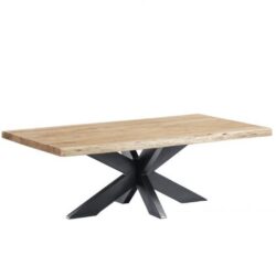Baumstamm Couchtisch Live Edge | 120 cm