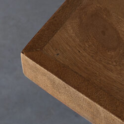 LABEL51 Eetkamertafel Tafelblad Straight Edge - Nature - Mangohout - 120 cm Straight