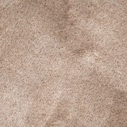 Tapijt Tolga cream 200x300