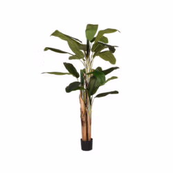 LABEL51 Musa - Groen - Kunststof - 180 cm