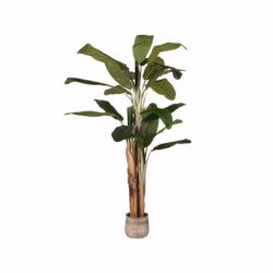 LABEL51 Musa - Groen - Kunststof - 180 cm