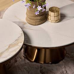 Elegante marmeren salontafel met een goudkleurige onderstel, perfect voor stijlvolle interieurs en loungegebieden, gecombineerd met decoratieve vazen en bloemen.