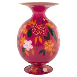 Vaas Anicia multicolor
