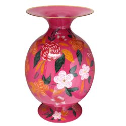 Vaas Anicia multicolor