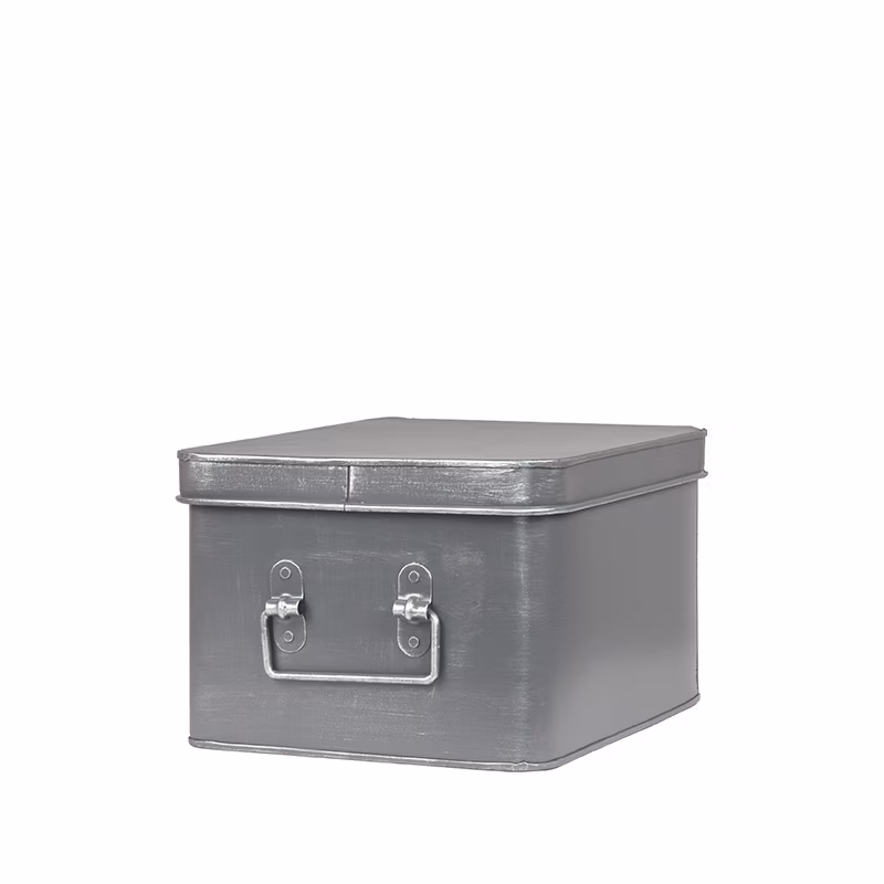 LABEL51 Media Opbergkist - Antiek grijs - Metaal - L