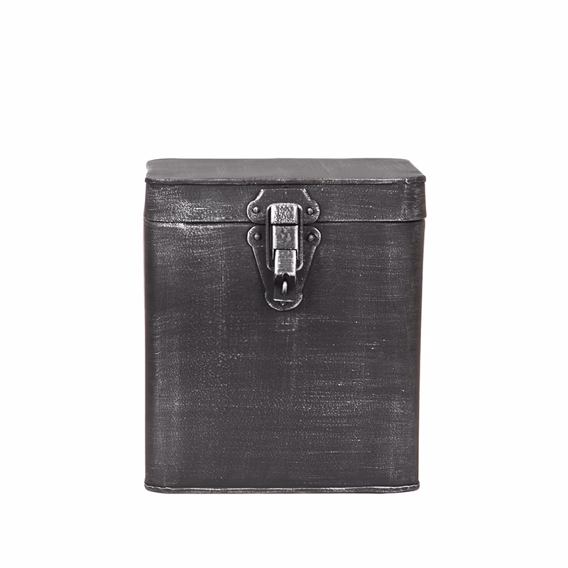 LABEL51 Opbergkist - Zwart - Metaal - XL