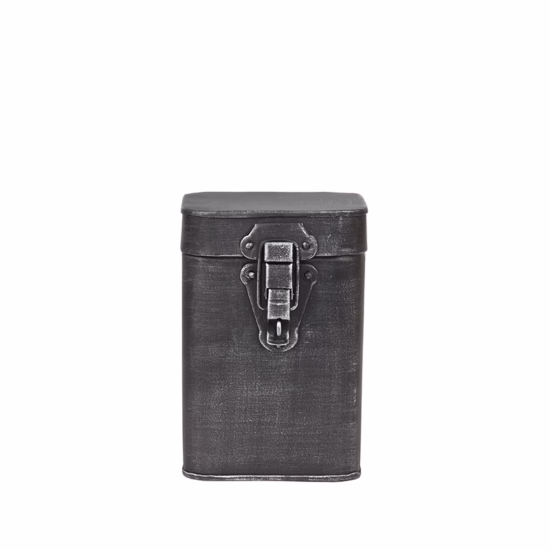 LABEL51 Opbergkist - Zwart - Metaal - M