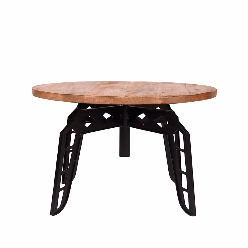 LABEL51 Salontafel Pebble - Rough - Mangohout - 80 cm - Rond